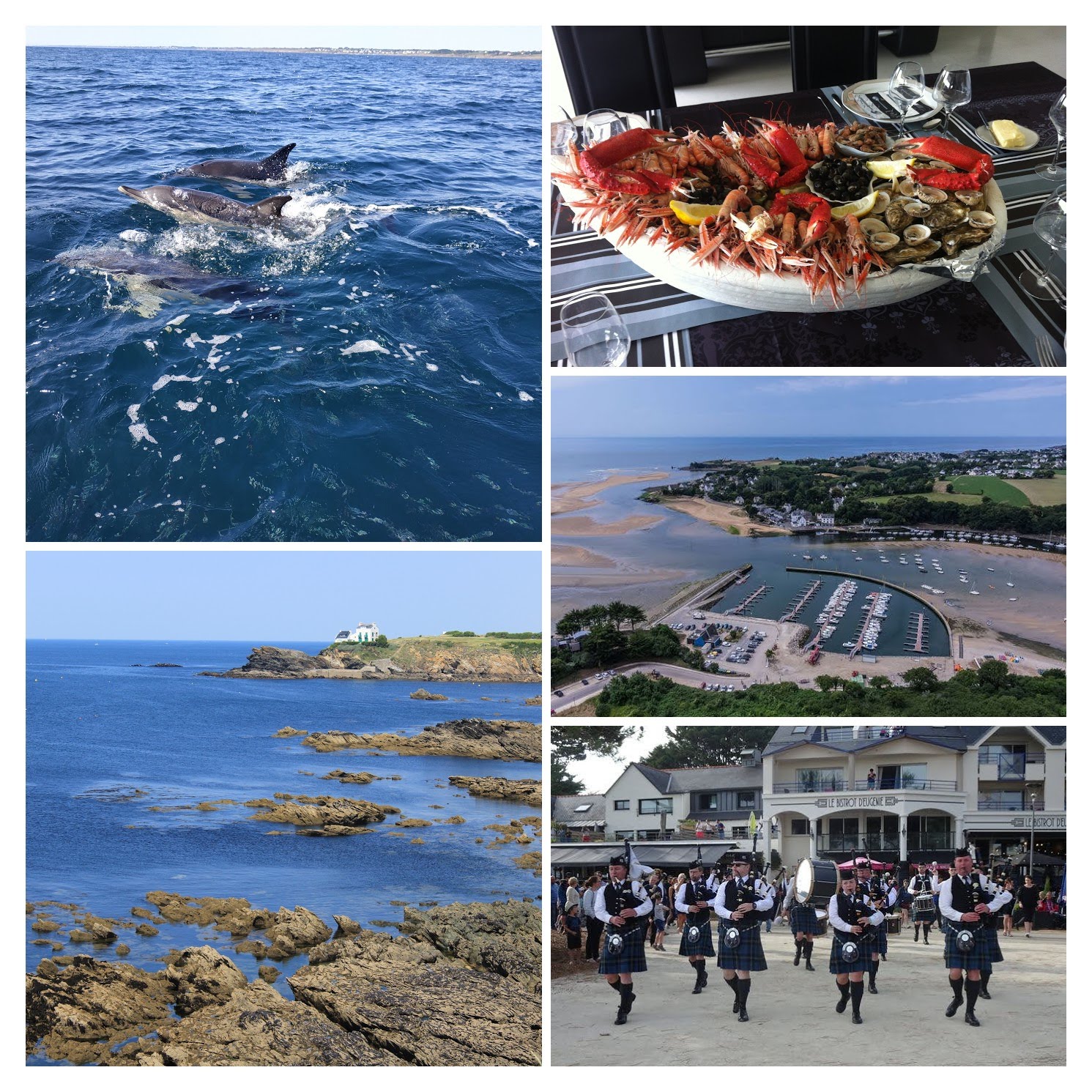 Découverte de la Bretagne : dauphins, fruits de mer, paysages et traditions